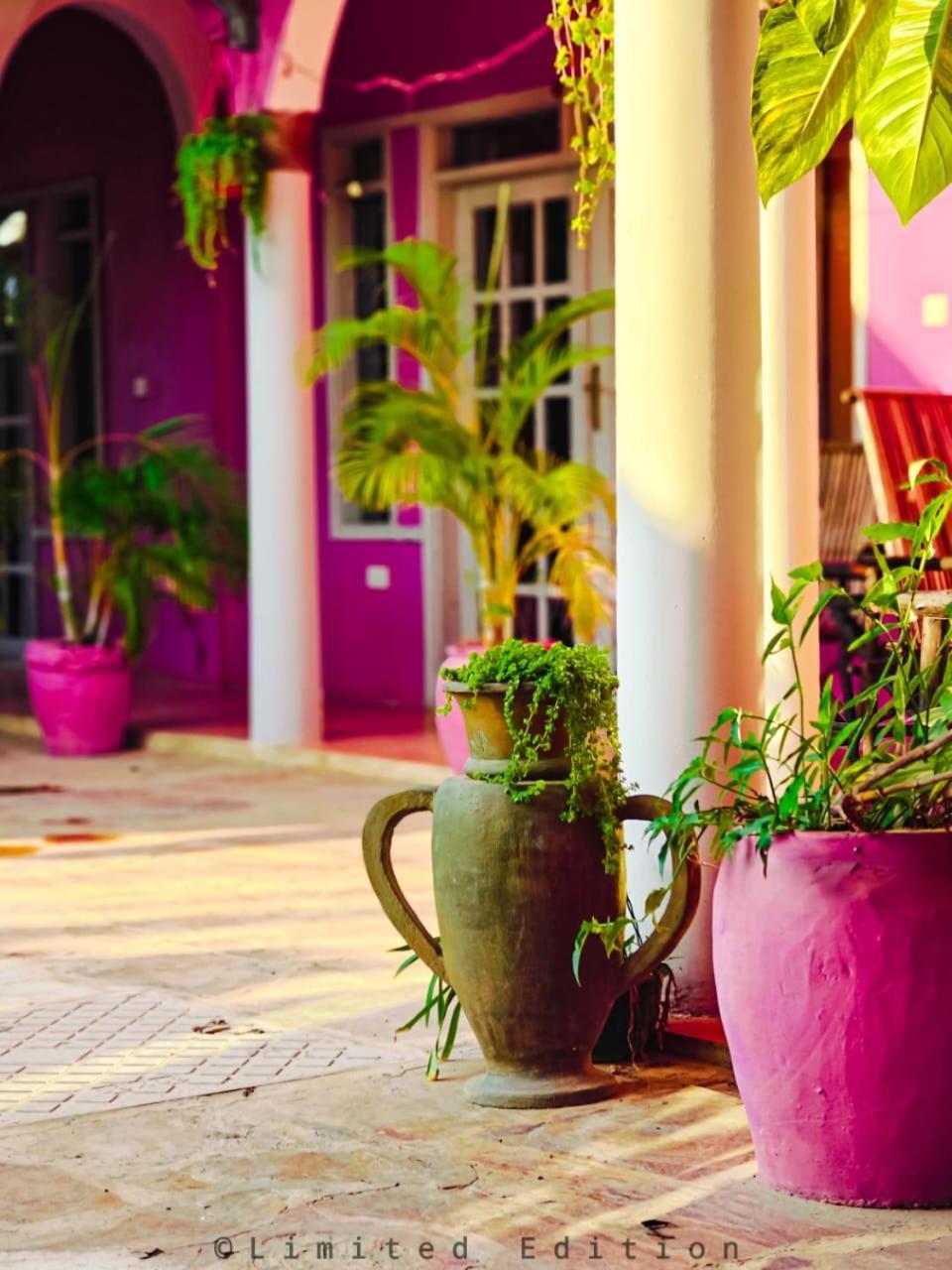 Nungwi Roses Villa Buitenkant foto